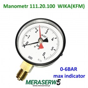 111.20.100 6BAR  max.indikator